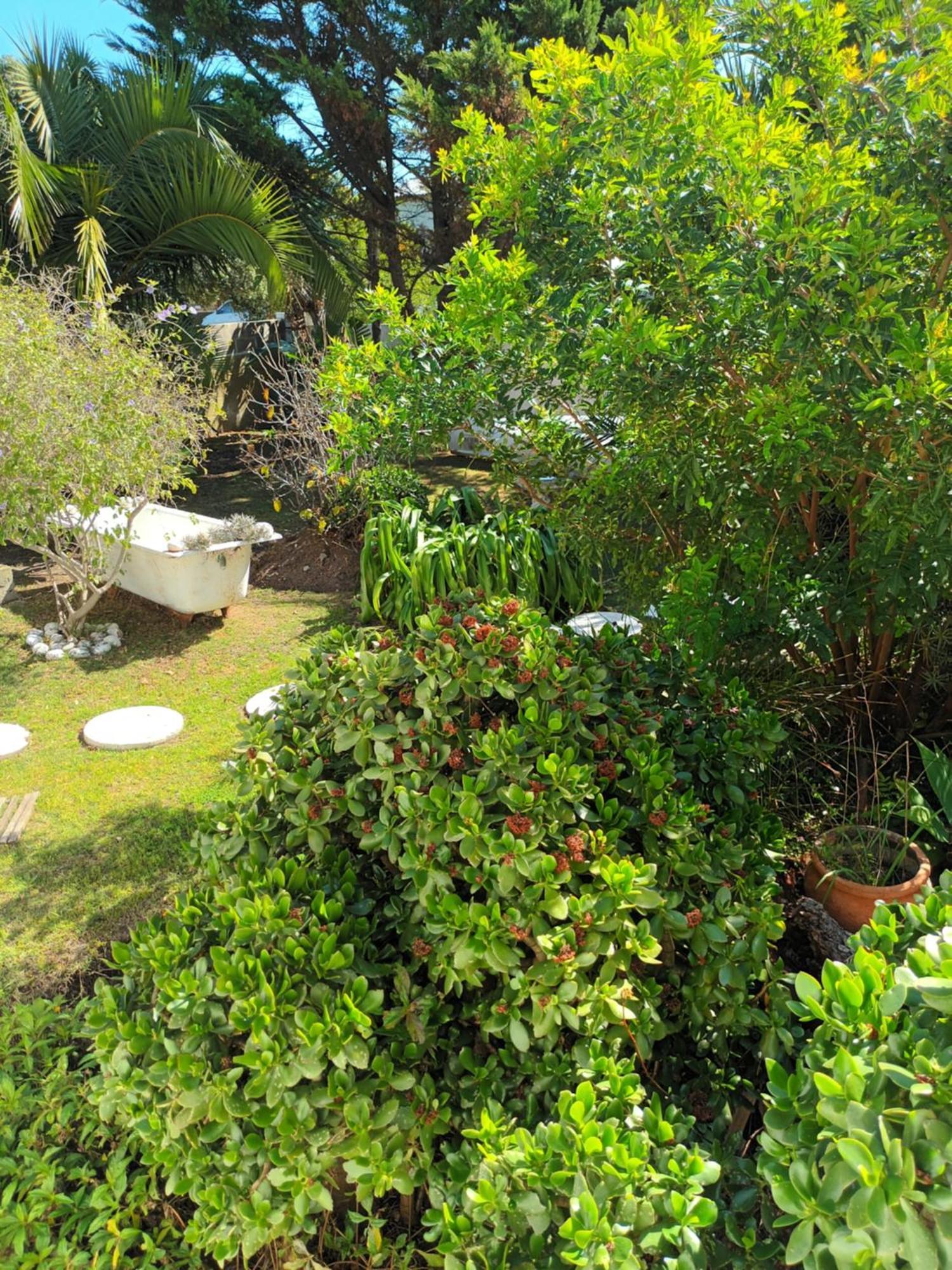Self Catering Unit 6, Sandbaai Hermanus Room photo